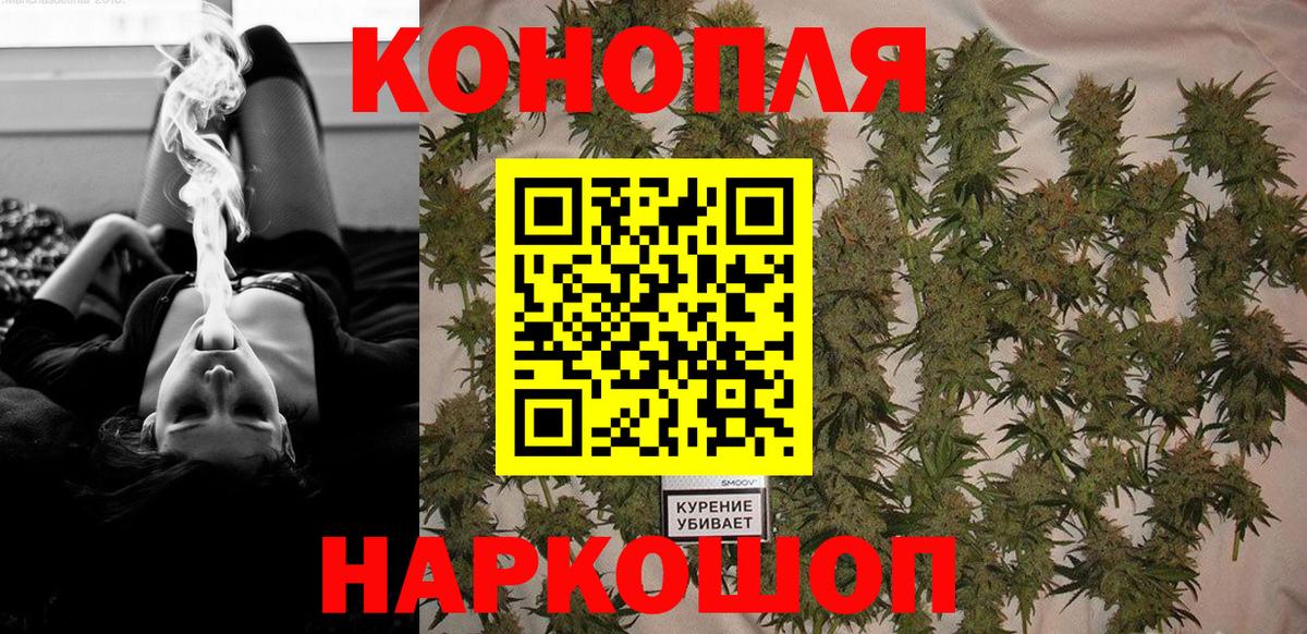 Шишки марихуана планчик Новый Уренгой